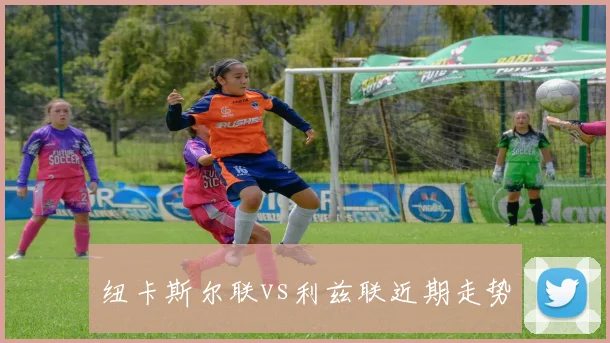 纽卡斯尔联vs利兹联近期走势
